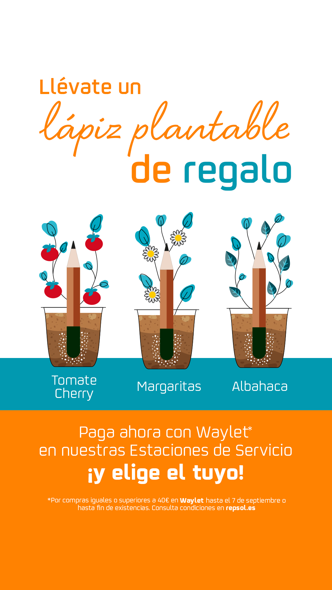 Repsol_vuelta_al_cole_IG_1080x1920